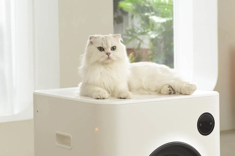 automatic cleaning cat box